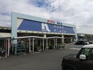 ホームプラザナフコ 橋本店様(電気量販店/ホームセンター)まで346m メゾンコニファーⅡ