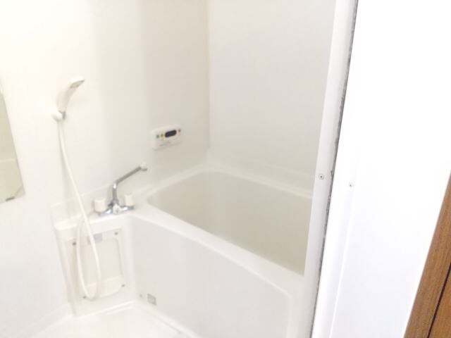  メゾンコニファーⅡ