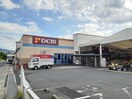 DCM 橋本店様(電気量販店/ホームセンター)まで338m エルピスⅡ