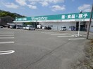エバグリーン 海南店様(スーパー)まで54m ソラーレ