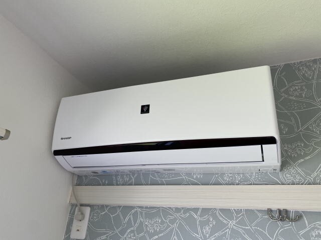  ディアスコスモ