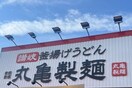 丸亀製麺和歌山店様 1030m きのくに線・紀勢本線/宮前駅 徒歩5分 2階 築6年
