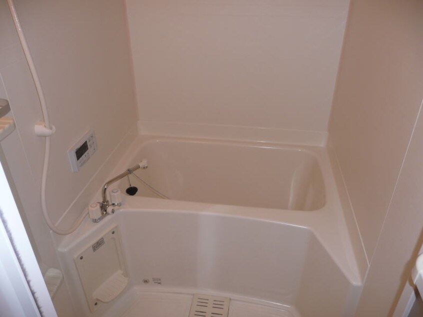  ファシナシオン毛見Ⅱ