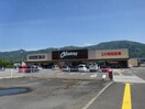 オークワ 粉河店様(スーパー)まで991m パーシモン春