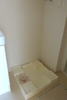  コルテーゼ　Ⅲ