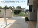  コルテーゼ　Ⅲ