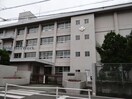 松山市立道後中学校(中学校/中等教育学校)まで407m エテルナ・Ｍ