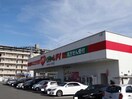 くすりのレデイ味酒店(ドラッグストア)まで1119m※すべては「お客様」のために アメニエス萱町