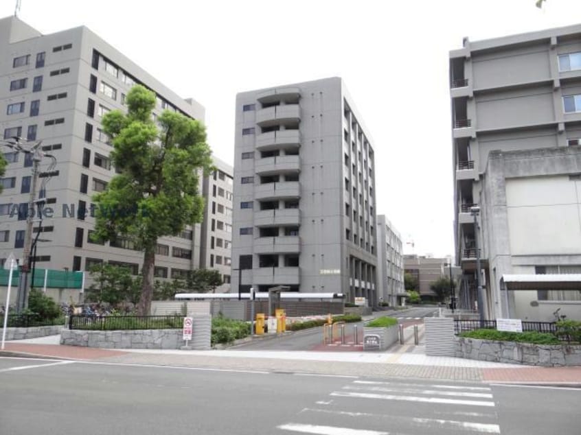 国立愛媛大学(大学/短大/専門学校)まで1085m※地域へ、世界へ、未来へ、 コーポラス久野