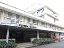 NTT西日本松山病院(病院)まで653m サンシャイン緑町Ⅱ