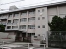 松山市立道後中学校(中学校/中等教育学校)まで842m チュリス松山