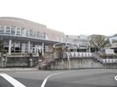 松山市立姫山小学校(小学校)まで1336m メゾン・ティアール