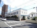 道後聖母幼稚園(幼稚園/保育園)まで649m パークヒルズ道後