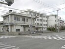 松山市立新玉小学校(小学校)まで154m パークハイツコミセン前