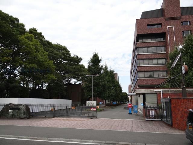 私立松山大学(大学/短大/専門学校)まで1299m※未来への前進を続ける松山大学 カローラ東雲