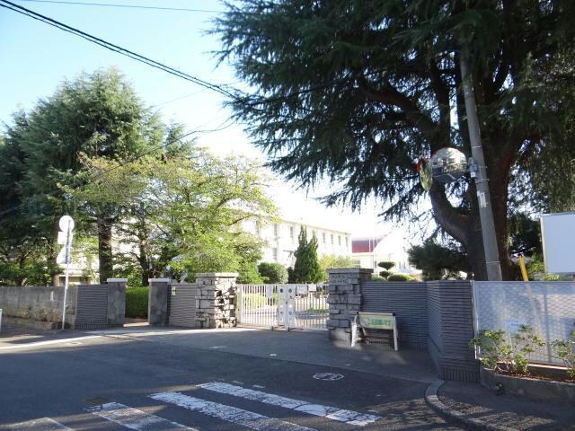 松山市立八坂小学校(小学校)まで764m ロクス持田