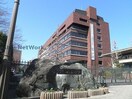 私立松山短期大学(大学/短大/専門学校)まで1713m 柳井館