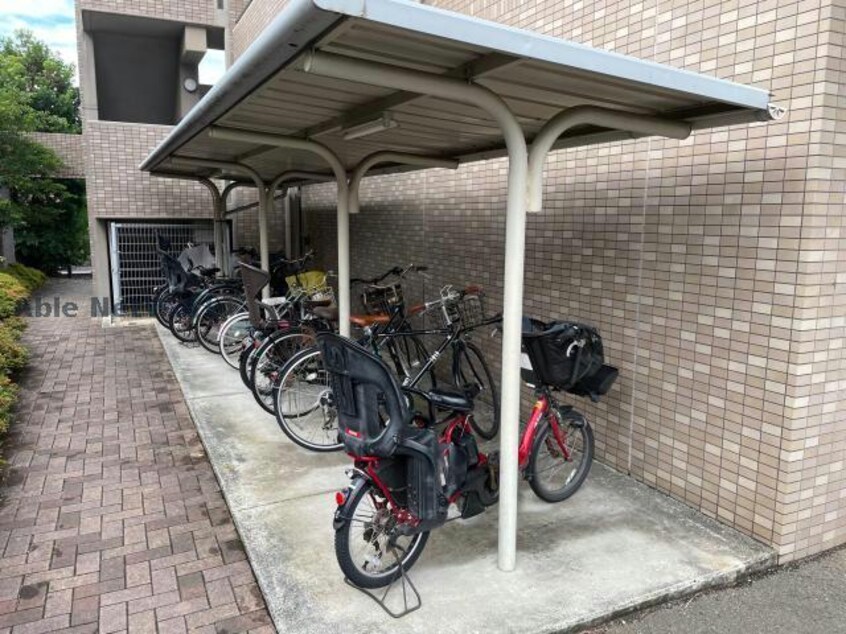  スカール道後