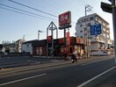 すき家松山道後樋又店(ファストフード)まで1067m スカール道後