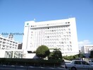 松山市役所(役所)まで1077m ロイヤルアネックス喜与町