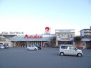 マルナカ美沢店(スーパー)まで1231m Partenaire Kumanodai Revelize.