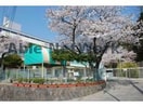 道後保育園(幼稚園/保育園)まで650m ノーブル道後