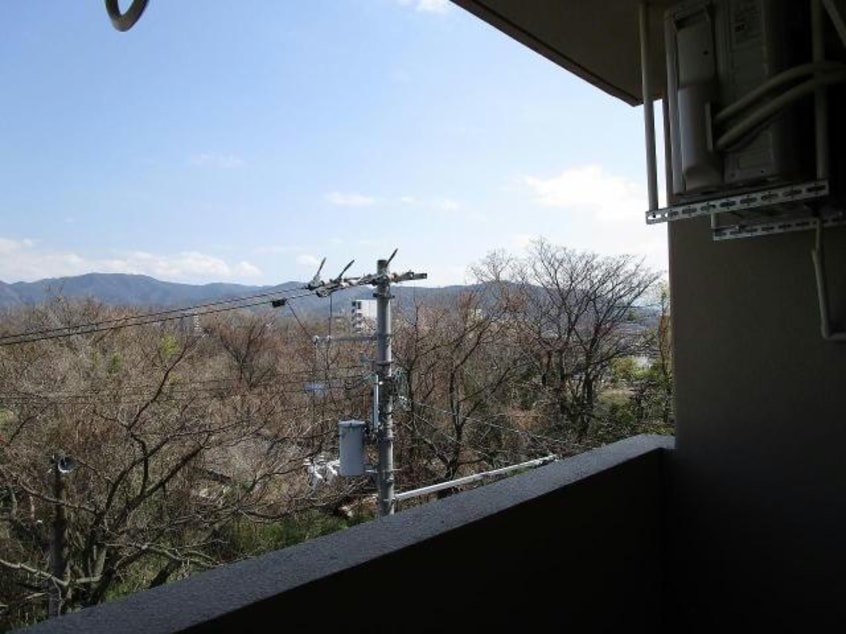  サザンコートVI