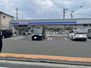 ローソン松山中村四丁目店(コンビニ)まで212m サザンコートIII