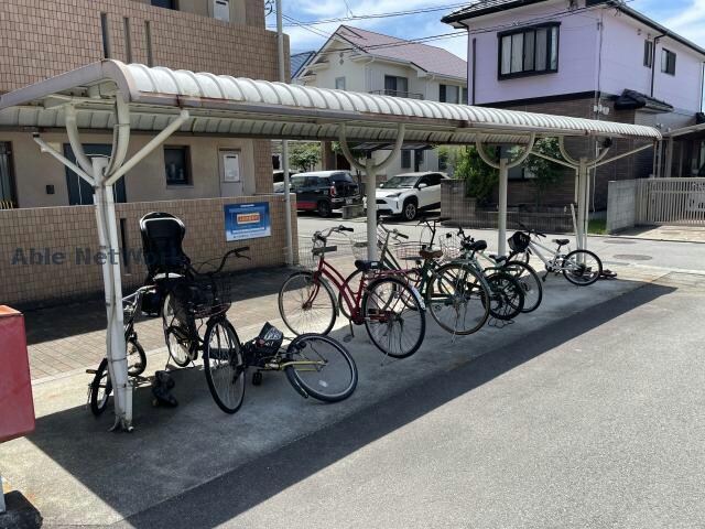  ユーミーつばき