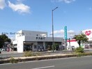 伊予銀行小栗支店(銀行)まで717m ラ・ルーチェ