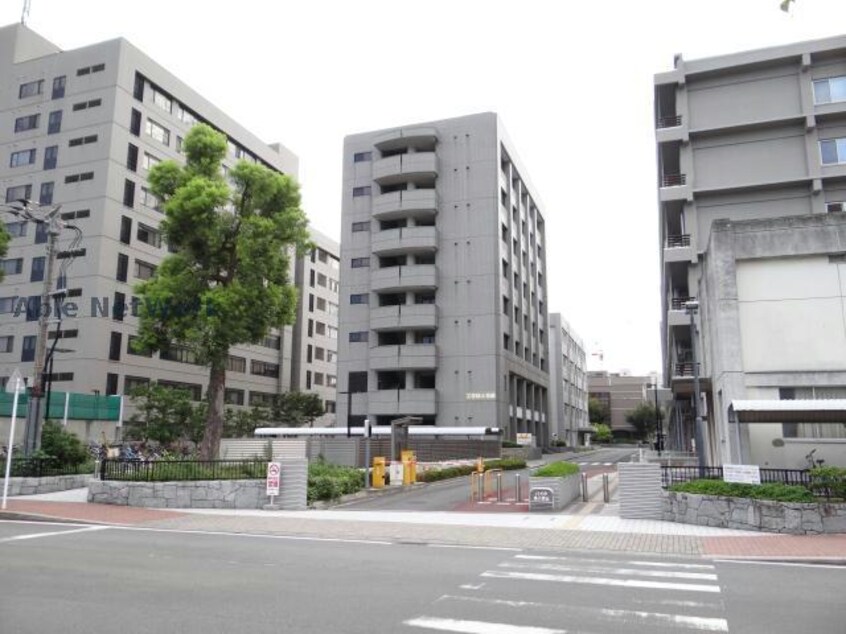 国立愛媛大学(大学/短大/専門学校)まで1541m※地域へ、世界へ、未来へ、 稲田ビル