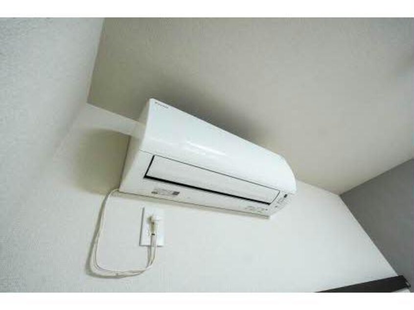  シャーメゾンキャメリア