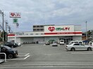 くすりのレデイ東石井店(ドラッグストア)まで770m シャーメゾンキャメリア