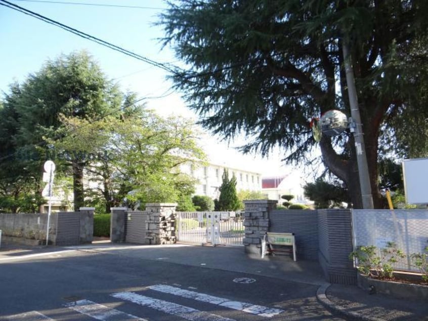松山市立八坂小学校(小学校)まで707m レーベン御宝町アルビオ・タワー