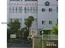 松山市立雄新中学校(中学校/中等教育学校)まで1025m チェリー小栗ハイツ