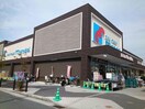 万代郡津店(スーパー)まで832m プラシード