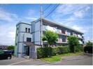 サンライズ・マゼミの外観
