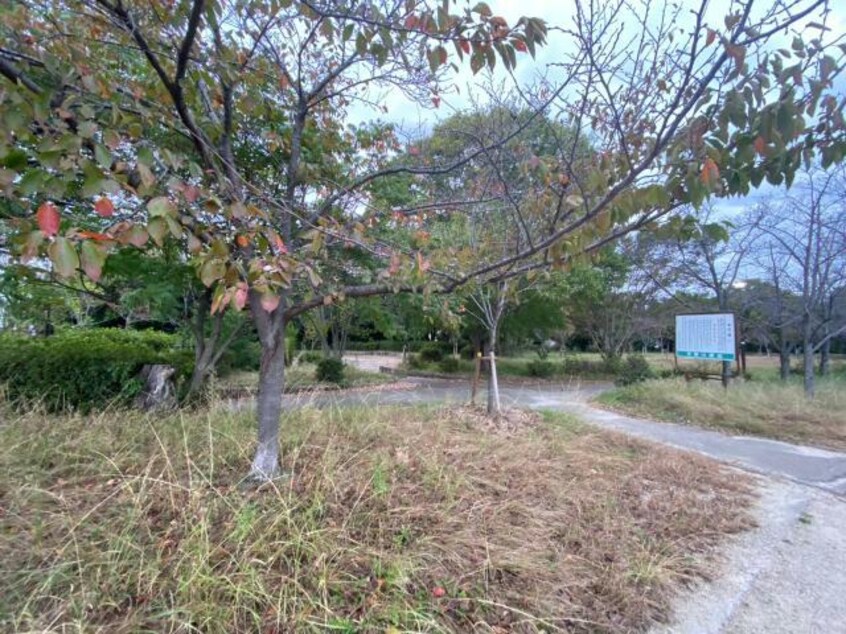 天野川緑地(公園)まで850m キャルムコート交野