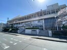 交野市役所(役所)まで1364m アンド・ユー郡津