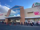 アル・プラザ枚方(ショッピングセンター/アウトレットモール)まで1339m 学研CITY CORE
