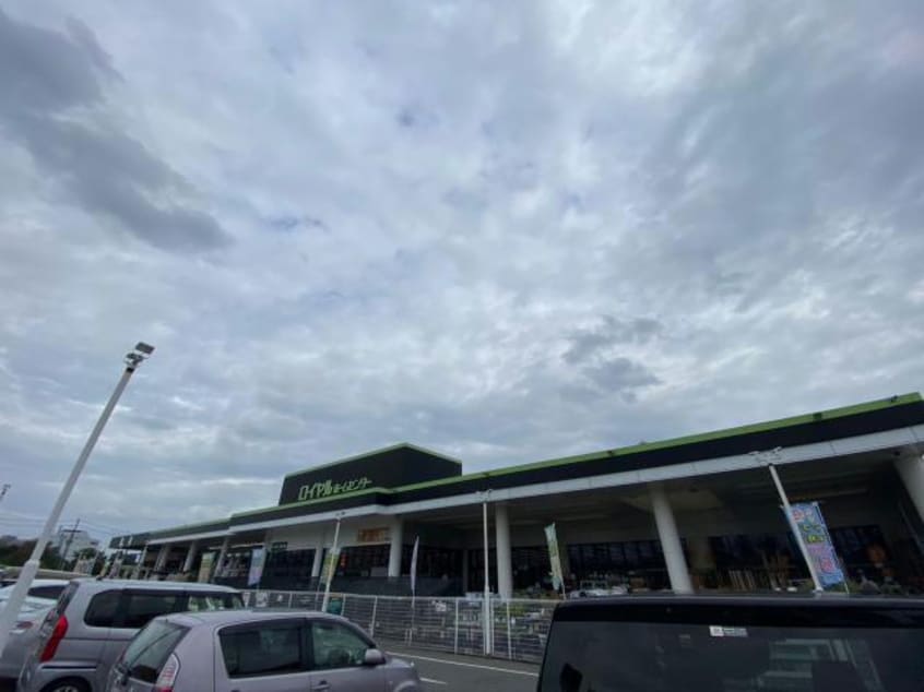 ロイヤルホームセンター枚方店(電気量販店/ホームセンター)まで2502m ハミングハイツ