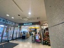 マクドナルド枚方アルプラザ店(その他飲食（ファミレスなど）)まで1524m ハミングハイツ
