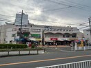 スギ薬局交野店(ドラッグストア)まで238m サンメッセ交野