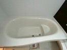  グラシアス