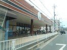 マルシゲ星ヶ丘店(スーパー)まで388m メイプルコート桜丘