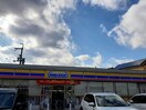ミニストップ枚方村野高見台店(コンビニ)まで340m メイプルコート桜丘