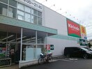 キリン堂枚方山之上店(ドラッグストア)まで159m ウインズコート