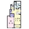 シュシュテラス 1LDKの間取り