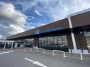 万代トナリエ星田店(スーパー)まで581m アート星田駅前