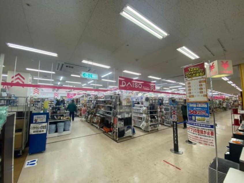 ダイソーアルプラザ枚方店(ディスカウントショップ)まで1213m 野村元町貸家